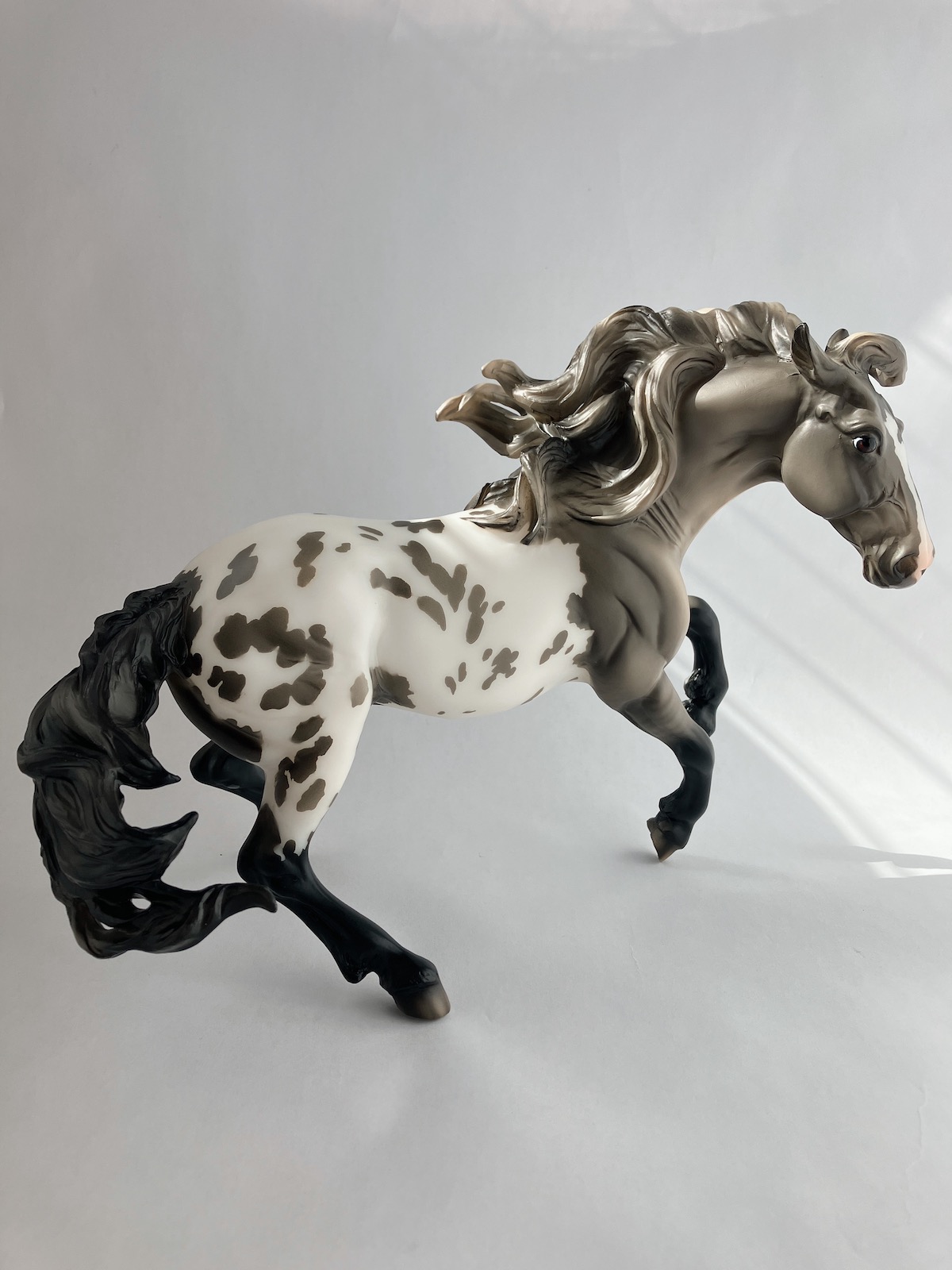 shelby 3 Show side view of Shelby. Shelby was done on the Nokota mold and this one pictured is the Grulla blanket appaloosa.