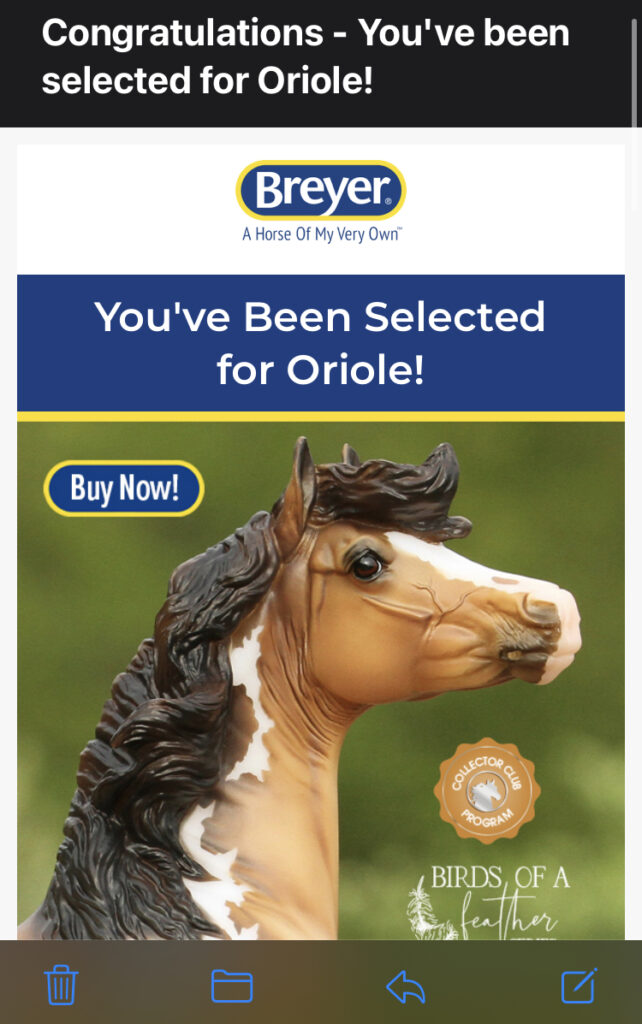 Screen shot from my phone of the email from Breyer announcing that I was selected for Oriole.