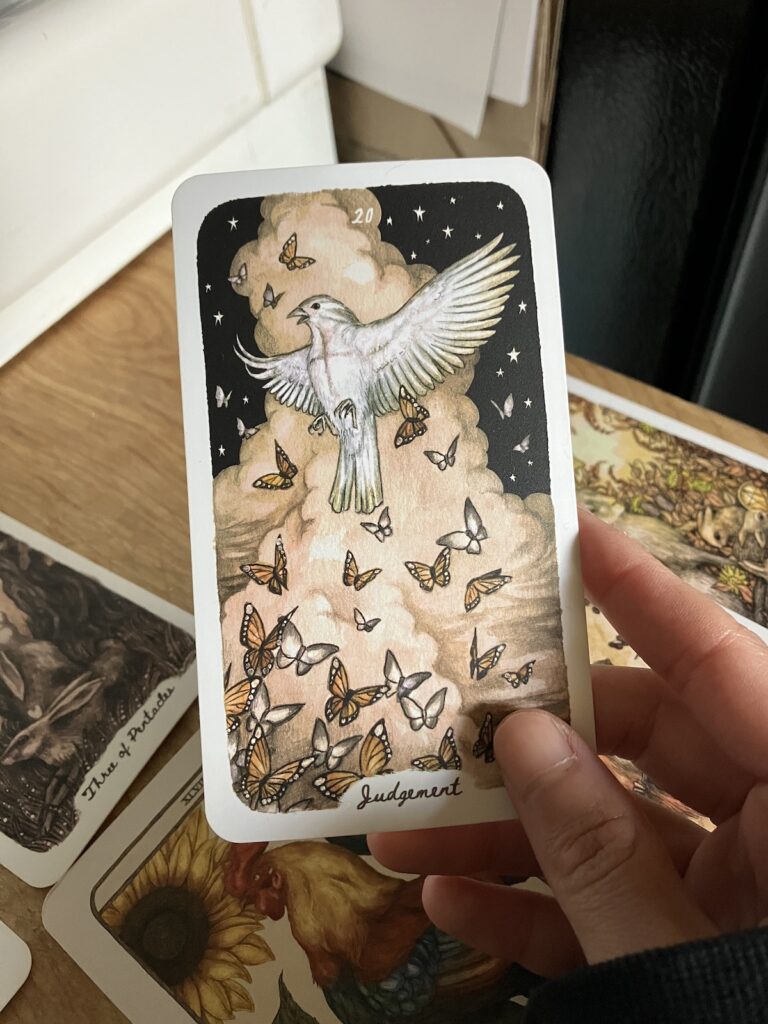 The card I'm holding is number 20 of the major arcana, Judgement. I'm using the Oak, Ash, & Thorn tarot deck. The card features a white bird with it's wings spread out on it's sides as it rises up with a large cloud of smoke. It's almost as though the bird is rising from the ashes/resurrecting. There is a swarm of butterflies flying upwards as well, and it's set against a black sky sprinkled with stars. The white bird has a slightly bloody T shaped wound on it's chest that can be interpreted as a crucifix.