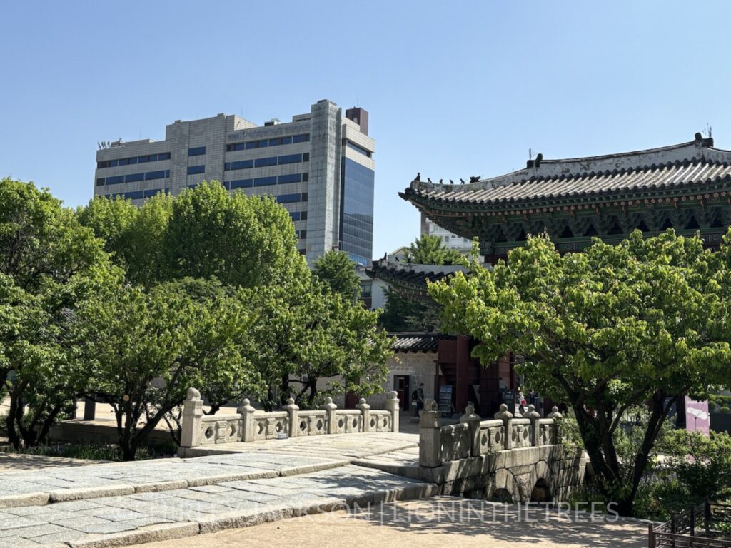 Photo of the ancient palace gates juxtaposed next to a modern downtown building