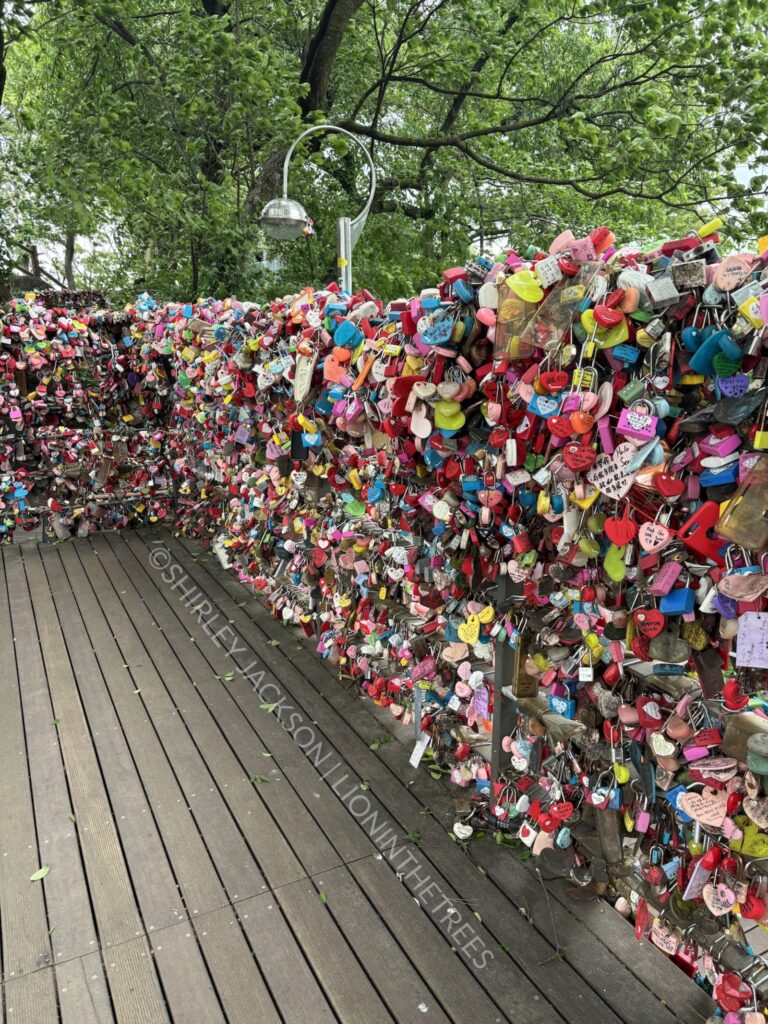 Photo of the Lock Loves of Seoul Tower