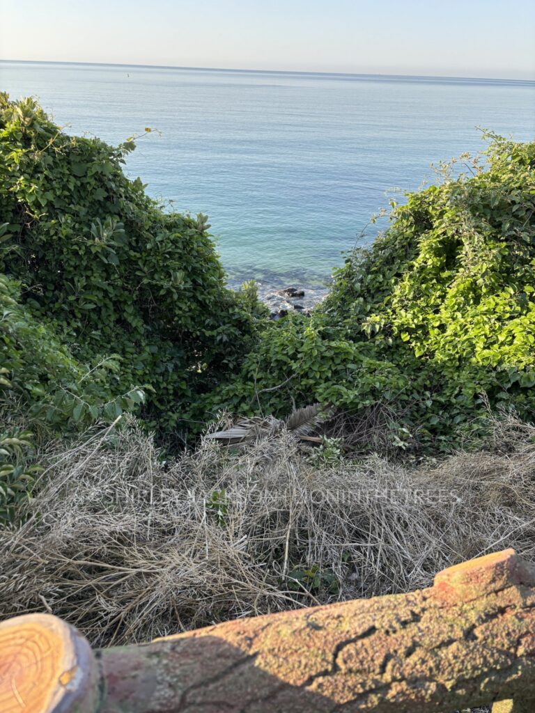 Photo of the ocean on Jeju Island