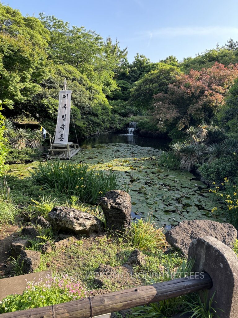 Photo of a pond with a sign that says "Jeju Island Folk Village" in hangul