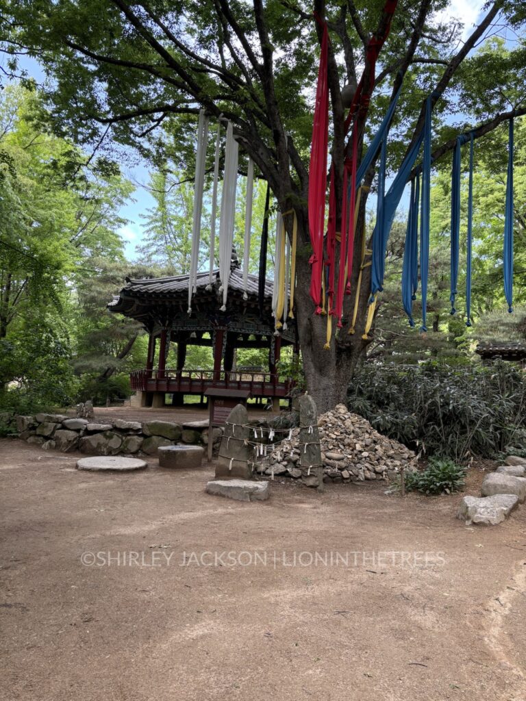 Photo of a tree decorated with different coloured pieces of fabric that hang down from the branches