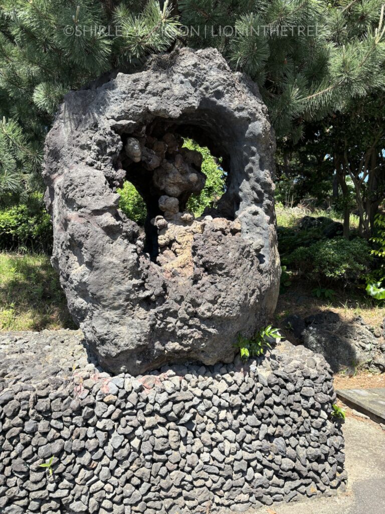 Photo of a large piece of volcanic rock