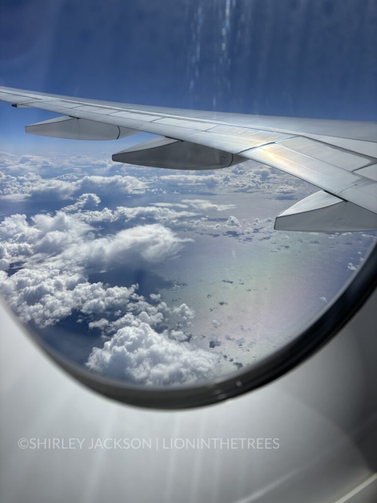 Window seat photo of the pacific ocean on our way to Korea