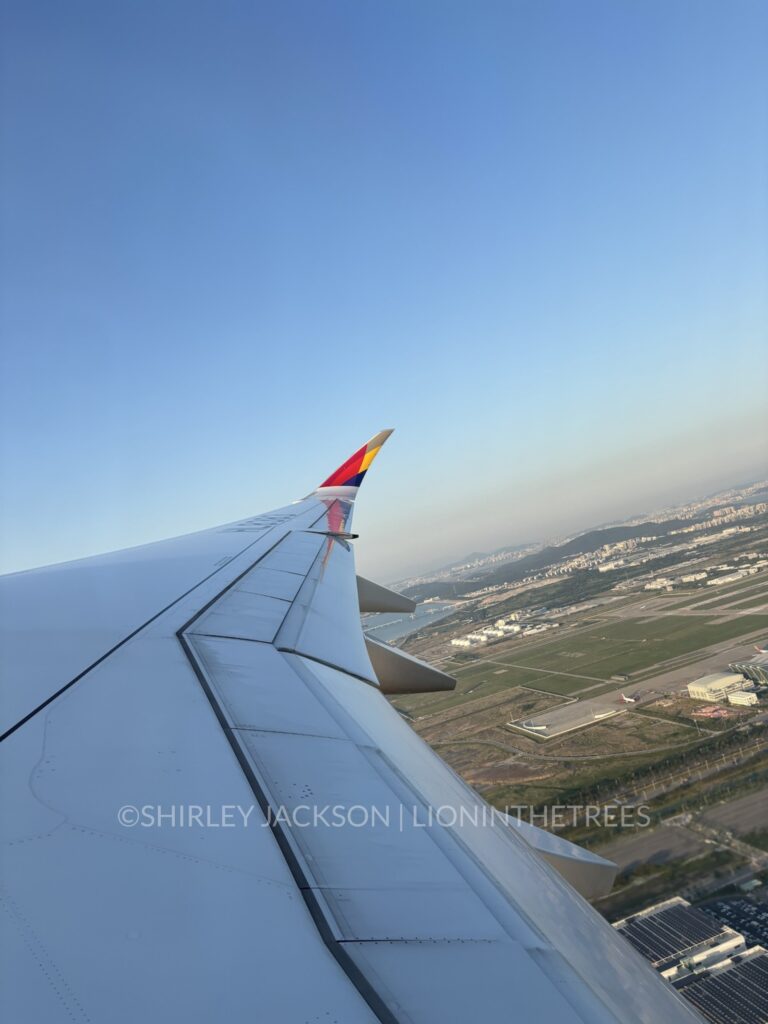 Photo taken from the window seat of the plane departing from Seoul