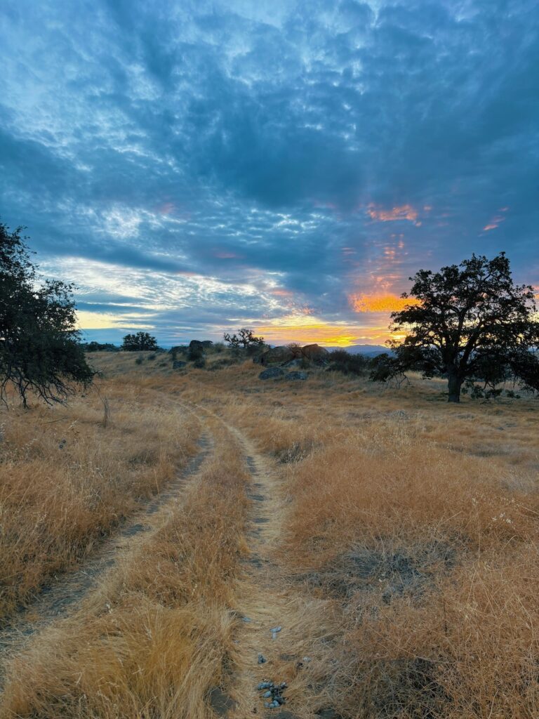 Picture of the landscape. The sun is rising in the horizon and all of the vegetation and brush is a dried out, golden colour.