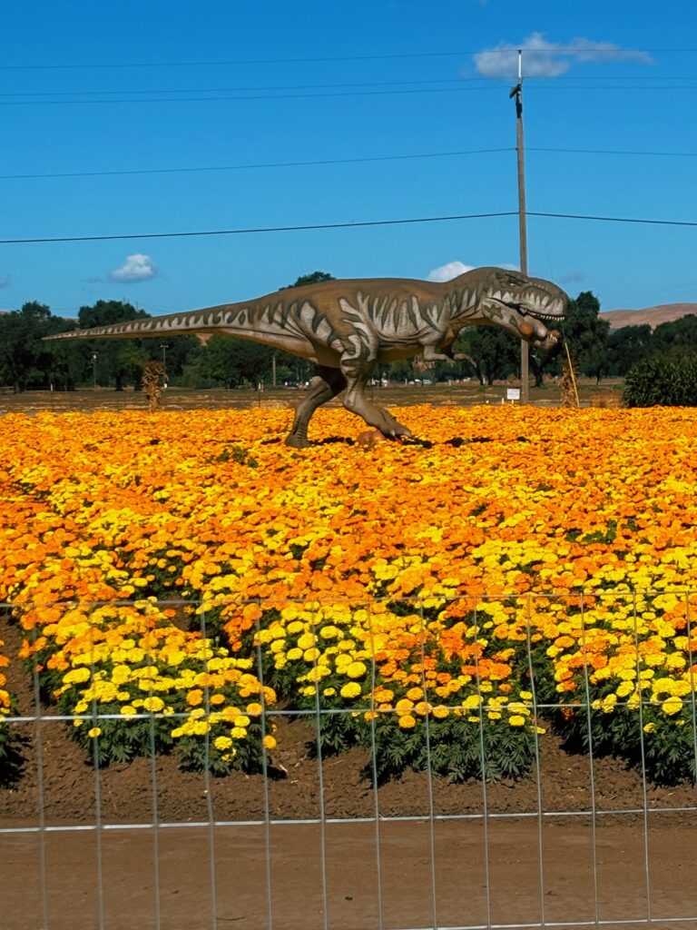 Another large, carnivorous dinosaur in a field of marigolds. They appear to have a human in their mouth.