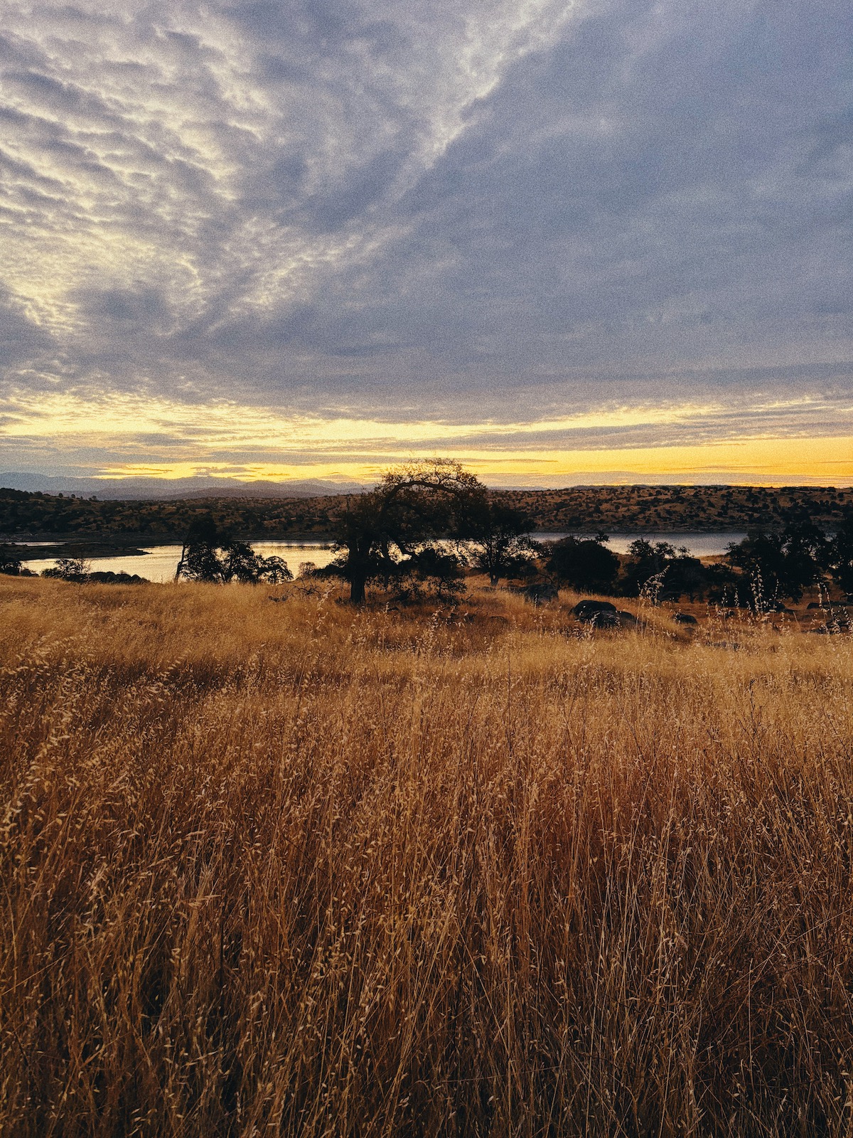 A landscape view featuring golden dry brush, silhouetted trees, and a lake in the background surrounded by mountains.