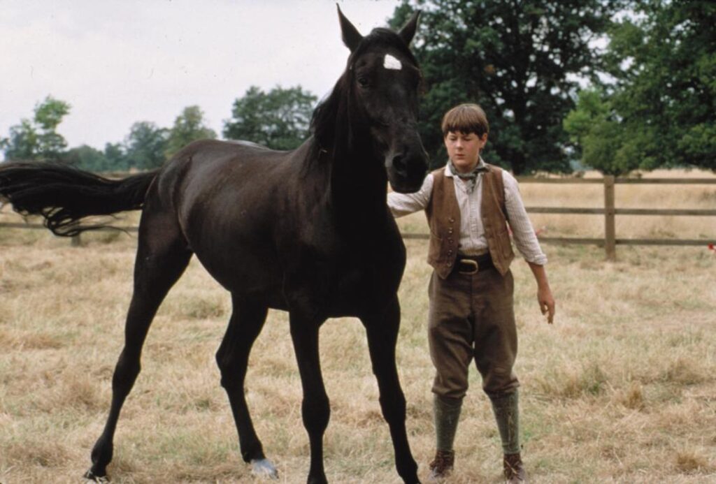 Still from the 1994 Black Beauty film of the horse standing in a field with a small person