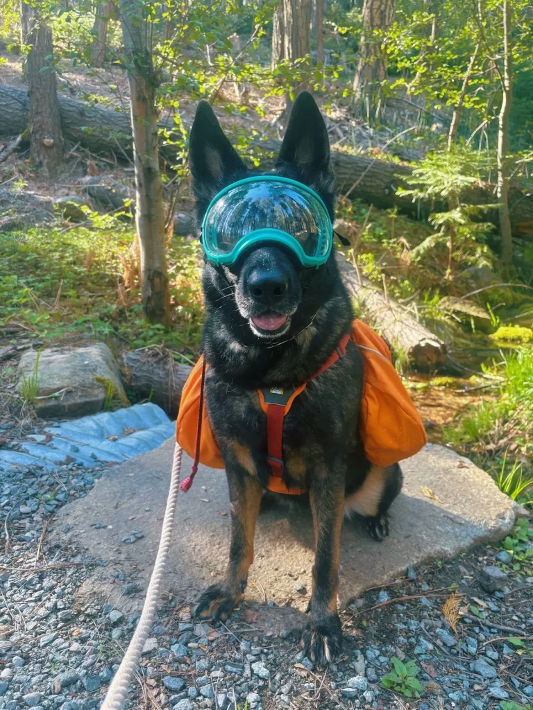 Photo of Eden sitting amongst the trees wearing her doggles and an orange saddlepack.