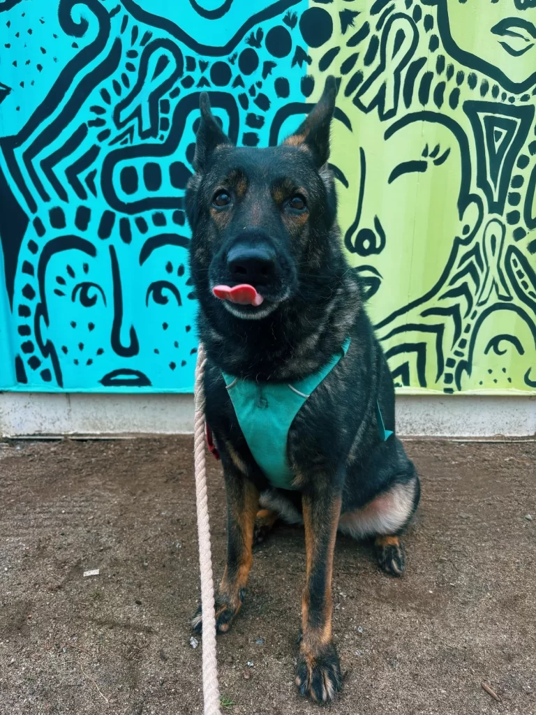 Eden sitting in front of a turquoise and lime green coloured wall with illustrated faces and patterns. She's got her tongue out like "blep".