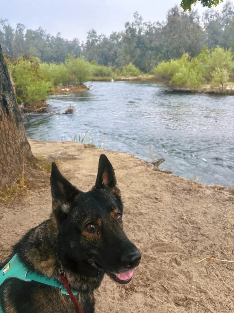 Eden sitting near a river