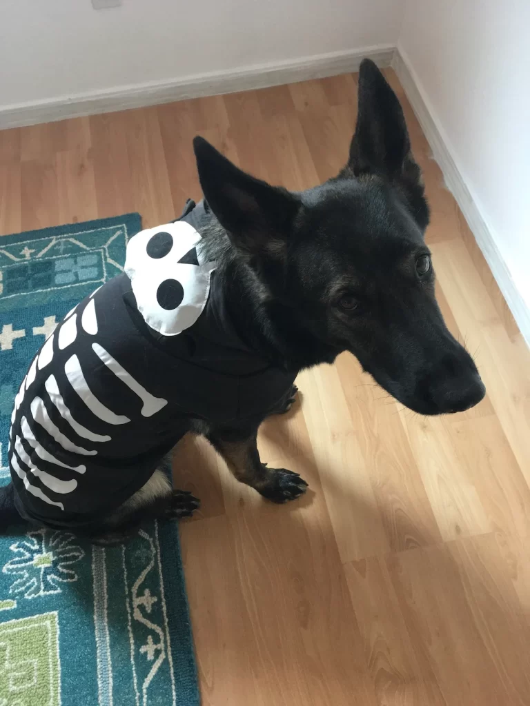 Eden sitting down wearing her skeleton sweater