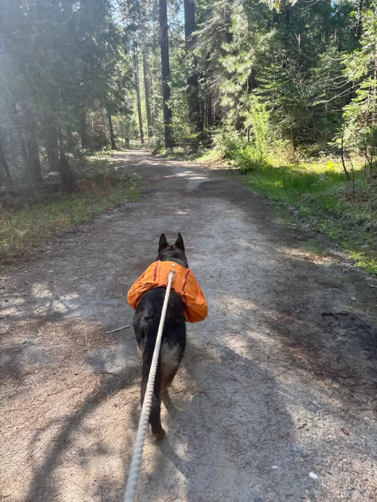Photo of Eden walking down a trail