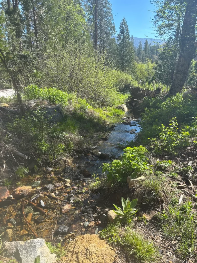 Photo of a little babbling brook