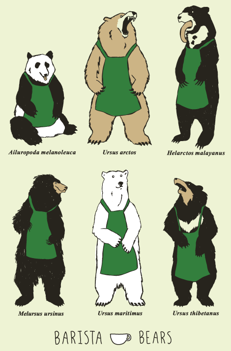 Barista Bears